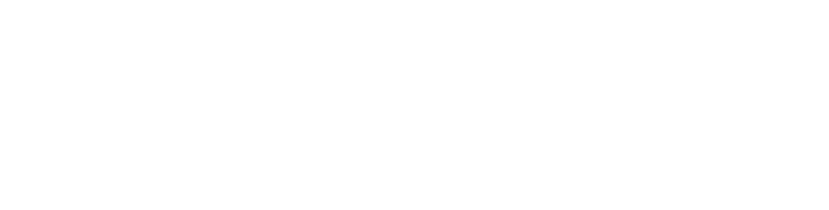 ventis logo white