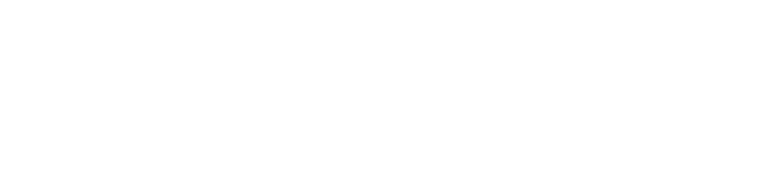 ventis logo white
